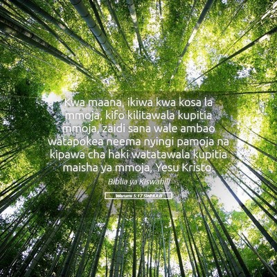 Picture 05 - Warumi 5:17 SWHULB - Kwa maana, ikiwa kwa kosa la mmoja, kifo - Bible Verse Picture