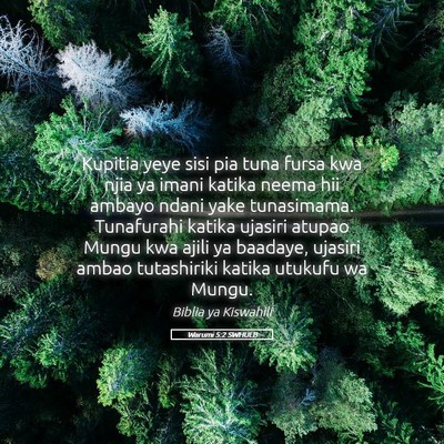 Picture 05 - Warumi 5:2 SWHULB - Kupitia yeye sisi pia tuna fursa kwa njia ya - Bible Verse Picture