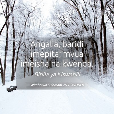 Picture 05 - Wimbo wa Sulemani 2:11 SWHULB - Angalia, baridi imepita; mvua imeisha na - Bible Verse Picture