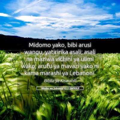 Picture 05 - Wimbo wa Sulemani 4:11 SWHULB - Midomo yako, bibi arusi wangu, yatiririka asali; - Bible Verse Picture