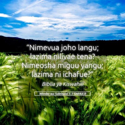 Picture 05 - Wimbo wa Sulemani 5:3 SWHULB - “Nimevua joho langu; lazima nilivae tena? - Bible Verse Picture