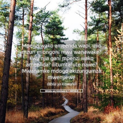 Picture 05 - Wimbo wa Sulemani 6:1 SWHULB - Mpenzi wako ameenda wapi, ulio mzuri miongoni mwa - Bible Verse Picture
