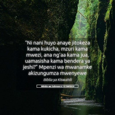 Picture 05 - Wimbo wa Sulemani 6:10 SWHULB - “Ni nani huyo anaye jitokeza kama kukicha, - Bible Verse Picture