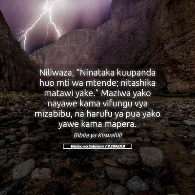 Picture 05 - Wimbo wa Sulemani 7:8 SWHULB - Niliwaza, “Ninataka kuupanda huo mti wa mtende; - Bible Verse Picture