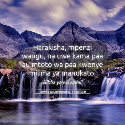 Picture 05 - Wimbo wa Sulemani 8:14 SWHULB - Harakisha, mpenzi wangu, na uwe kama paa au mtoto - Bible Verse Picture