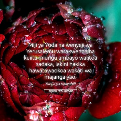 Picture 05 - Yeremia 11:12 SWHULB - Miji ya Yuda na wenyeji wa Yerusalemu watakwenda - Bible Verse Picture