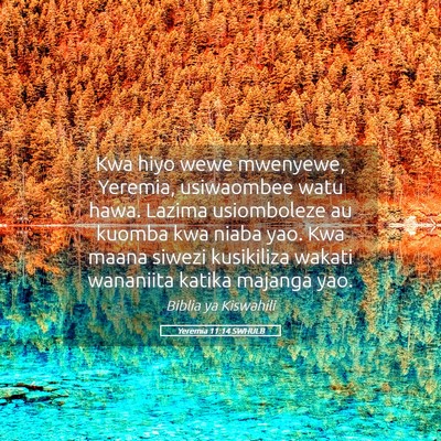Picture 05 - Yeremia 11:14 SWHULB - Kwa hiyo wewe mwenyewe, Yeremia, usiwaombee watu - Bible Verse Picture