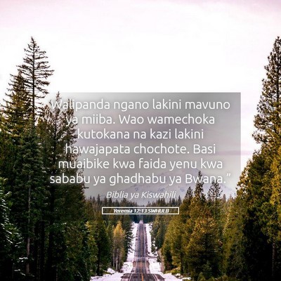 Picture 05 - Yeremia 12:13 SWHULB - Walipanda ngano lakini mavuno ya miiba. Wao - Bible Verse Picture
