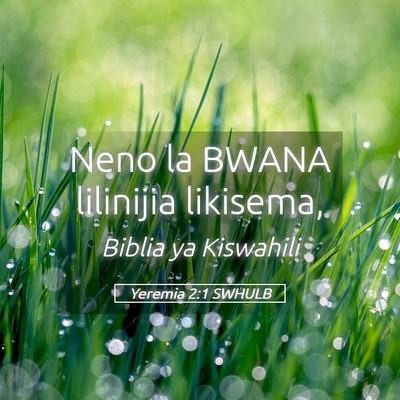 Picture 05 - Yeremia 2:1 SWHULB - Neno la BWANA lilinijia - Bible Verse Picture