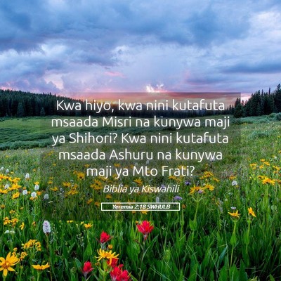 Picture 05 - Yeremia 2:18 SWHULB - Kwa hiyo, kwa nini kutafuta msaada Misri na - Bible Verse Picture