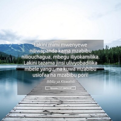 Picture 05 - Yeremia 2:21 SWHULB - Lakini mimi mwenyewe niliwapanda kama mzabibu - Bible Verse Picture