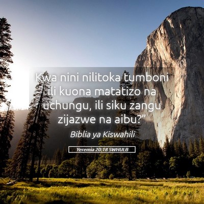 Picture 05 - Yeremia 20:18 SWHULB - Kwa nini nilitoka tumboni ili kuona matatizo na - Bible Verse Picture