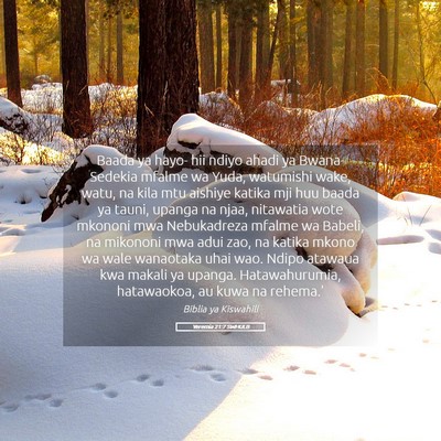 Picture 05 - Yeremia 21:7 SWHULB - Baada ya hayo- hii ndiyo ahadi ya Bwana-Sedekia - Bible Verse Picture