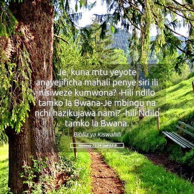 Picture 05 - Yeremia 23:24 SWHULB - Je, kuna mtu yeyote anayejificha mahali penye - Bible Verse Picture