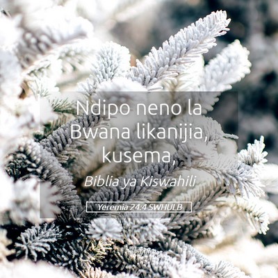 Picture 05 - Yeremia 24:4 SWHULB - Ndipo neno la Bwana likanijia, - Bible Verse Picture