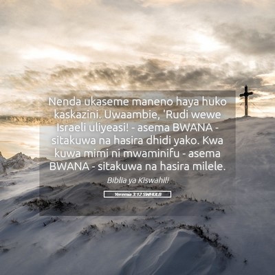 Picture 05 - Yeremia 3:12 SWHULB - Nenda ukaseme maneno haya huko kaskazini. - Bible Verse Picture