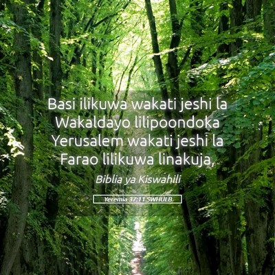 Picture 05 - Yeremia 37:11 SWHULB - Basi ilikuwa wakati jeshi la Wakaldayo - Bible Verse Picture