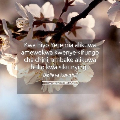 Picture 05 - Yeremia 37:16 SWHULB - Kwa hiyo Yeremia alikuwa amewekwa kwenye kifungo - Bible Verse Picture