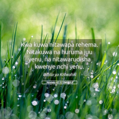 Picture 05 - Yeremia 42:12 SWHULB - Kwa kuwa nitawapa rehema. Nitakuwa na huruma juu - Bible Verse Picture