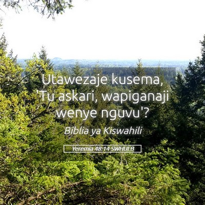 Picture 05 - Yeremia 48:14 SWHULB - Utawezaje kusema, 'Tu askari, wapiganaji wenye - Bible Verse Picture