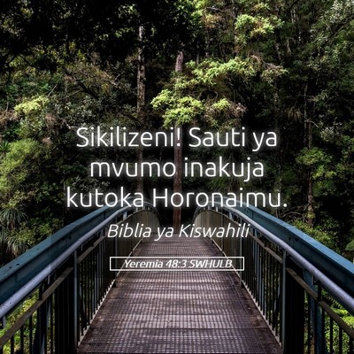 Picture 05 - Yeremia 48:3 SWHULB - Sikilizeni! Sauti ya mvumo inakuja kutoka - Bible Verse Picture