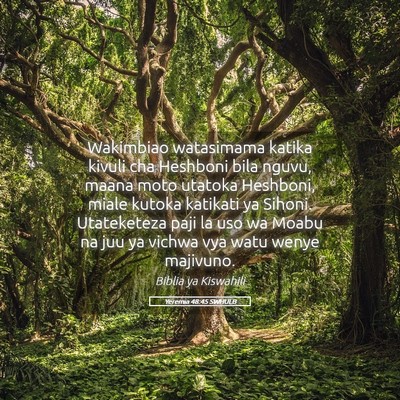 Picture 05 - Yeremia 48:45 SWHULB - Wakimbiao watasimama katika kivuli cha Heshboni - Bible Verse Picture