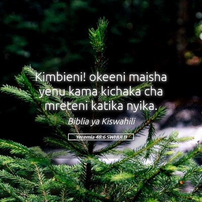 Picture 05 - Yeremia 48:6 SWHULB - Kimbieni! okeeni maisha yenu kama kichaka cha - Bible Verse Picture