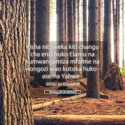 Picture 05 - Yeremia 49:38 SWHULB - Kisha nitaweka kiti changu cha enzi huko Elamu na - Bible Verse Picture