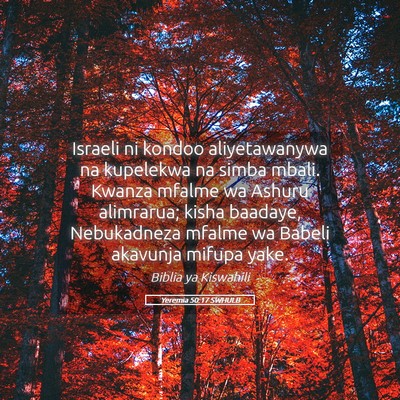 Picture 05 - Yeremia 50:17 SWHULB - Israeli ni kondoo aliyetawanywa na kupelekwa na - Bible Verse Picture