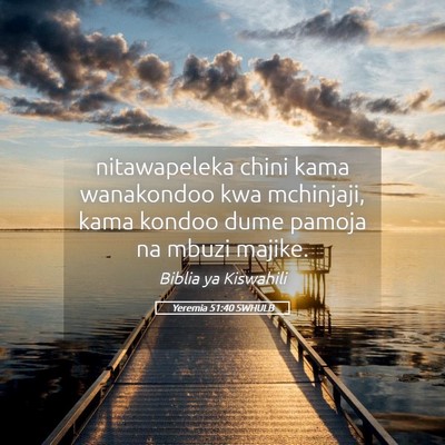 Picture 05 - Yeremia 51:40 SWHULB - nitawapeleka chini kama wanakondoo kwa mchinjaji, - Bible Verse Picture
