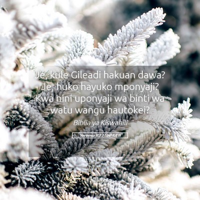 Picture 05 - Yeremia 8:22 SWHULB - Je, kule Gileadi hakuan dawa? Je, huko hayuko - Bible Verse Picture