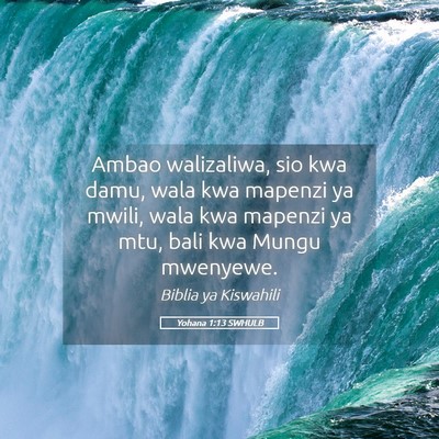 Picture 05 - Yohana 1:13 SWHULB - Ambao walizaliwa, sio kwa damu, wala kwa mapenzi - Bible Verse Picture