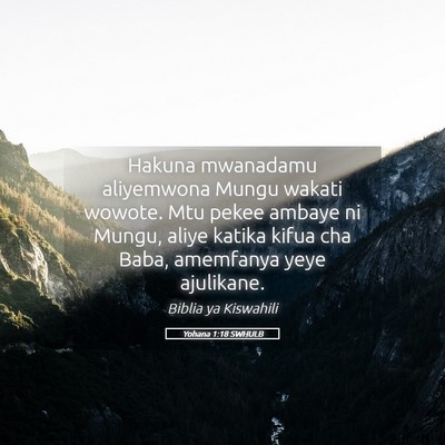 Picture 05 - Yohana 1:18 SWHULB - Hakuna mwanadamu aliyemwona Mungu wakati wowote. - Bible Verse Picture