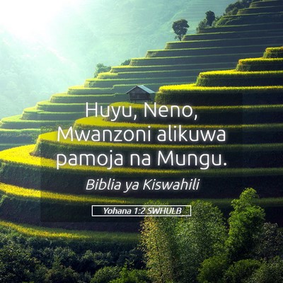 Picture 05 - Yohana 1:2 SWHULB - Huyu, Neno, Mwanzoni alikuwa pamoja na - Bible Verse Picture