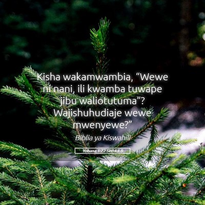 Picture 05 - Yohana 1:22 SWHULB - Kisha wakamwambia, “Wewe ni nani, ili kwamba - Bible Verse Picture