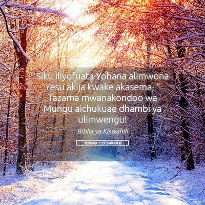 Picture 05 - Yohana 1:29 SWHULB - Siku iliyofuata Yohana alimwona Yesu akija kwake - Bible Verse Picture