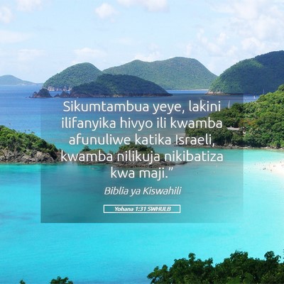 Picture 05 - Yohana 1:31 SWHULB - Sikumtambua yeye, lakini ilifanyika hivyo ili - Bible Verse Picture