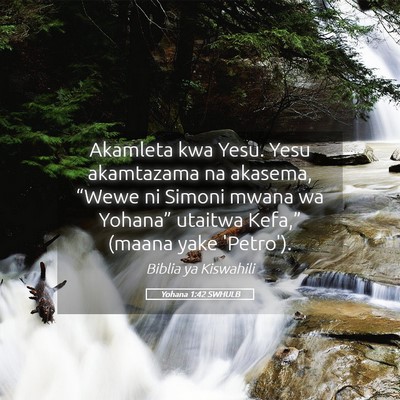 Picture 05 - Yohana 1:42 SWHULB - Akamleta kwa Yesu. Yesu akamtazama na akasema, - Bible Verse Picture
