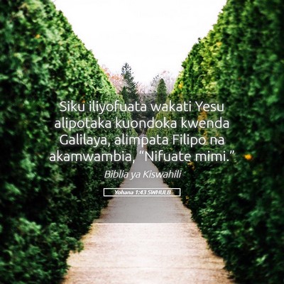 Picture 05 - Yohana 1:43 SWHULB - Siku iliyofuata wakati Yesu alipotaka kuondoka - Bible Verse Picture