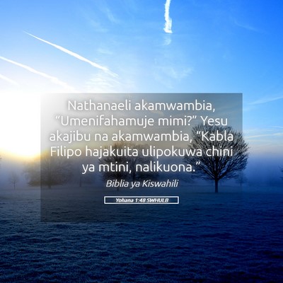Picture 05 - Yohana 1:48 SWHULB - Nathanaeli akamwambia, “Umenifahamuje mimi?” - Bible Verse Picture
