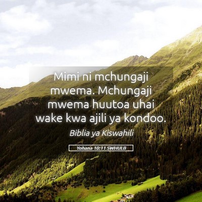 Picture 05 - Yohana 10:11 SWHULB - Mimi ni mchungaji mwema. Mchungaji mwema huutoa - Bible Verse Picture