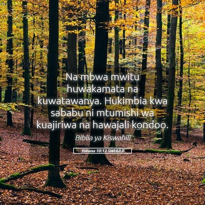 Picture 05 - Yohana 10:13 SWHULB - Na mbwa mwitu huwakamata na kuwatawanya. Hukimbia - Bible Verse Picture