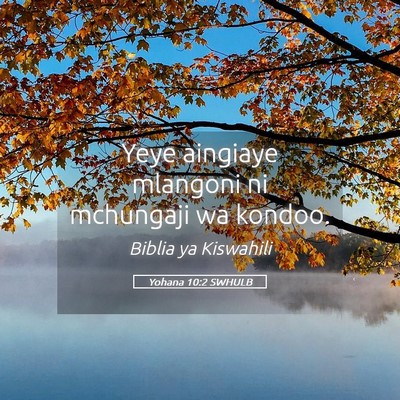 Picture 05 - Yohana 10:2 SWHULB - Yeye aingiaye mlangoni ni mchungaji wa - Bible Verse Picture