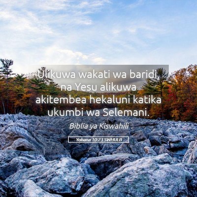 Picture 05 - Yohana 10:23 SWHULB - Ulikuwa wakati wa baridi, na Yesu alikuwa - Bible Verse Picture
