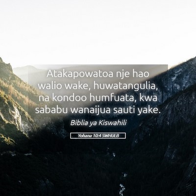 Picture 05 - Yohana 10:4 SWHULB - Atakapowatoa nje hao walio wake, huwatangulia, na - Bible Verse Picture