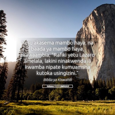 Picture 05 - Yohana 11:11 SWHULB - Yesu akasema mambo haya, na baada ya mambo haya, - Bible Verse Picture
