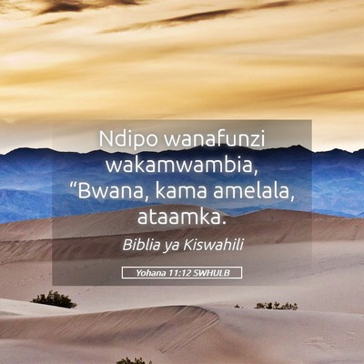 Picture 05 - Yohana 11:12 SWHULB - Ndipo wanafunzi wakamwambia, “Bwana, kama - Bible Verse Picture