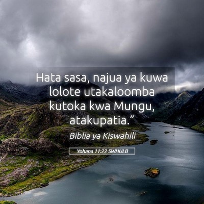 Picture 05 - Yohana 11:22 SWHULB - Hata sasa, najua ya kuwa lolote utakaloomba - Bible Verse Picture
