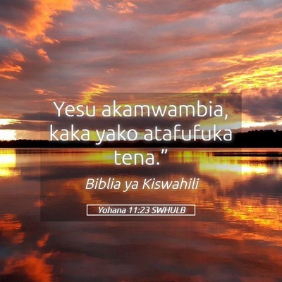 Picture 05 - Yohana 11:23 SWHULB - Yesu akamwambia, kaka yako atafufuka - Bible Verse Picture