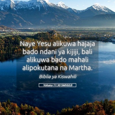 Picture 05 - Yohana 11:30 SWHULB - Naye Yesu alikuwa hajaja bado ndani ya kijiji, - Bible Verse Picture